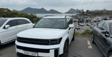 Aparcamiento con coches y paisaje montañoso al fondo.