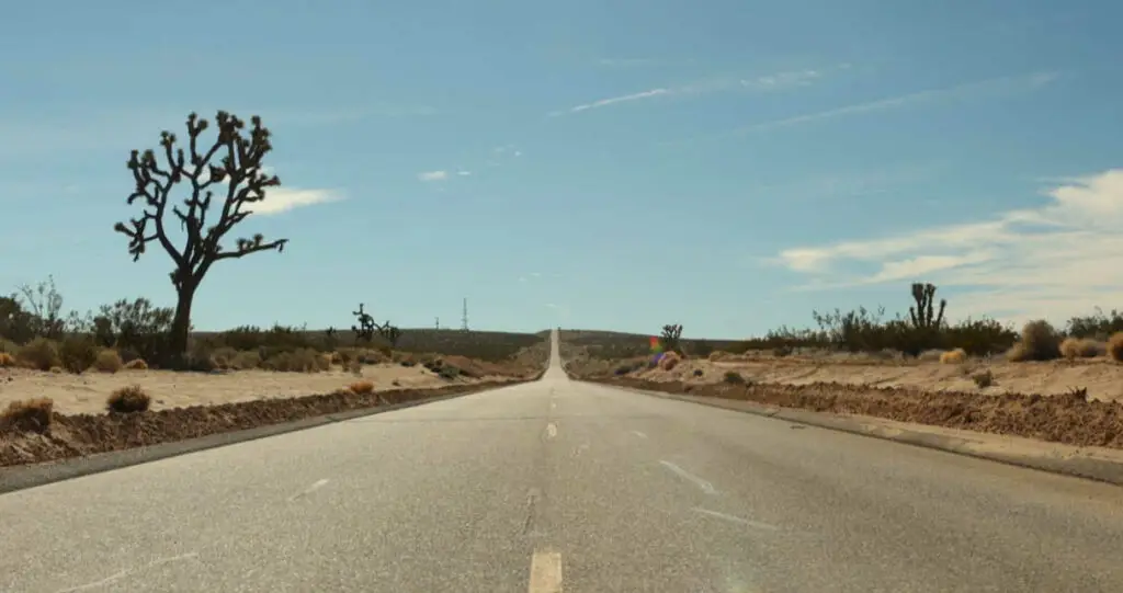 Carretera recta en desierto con árbol de Josué.